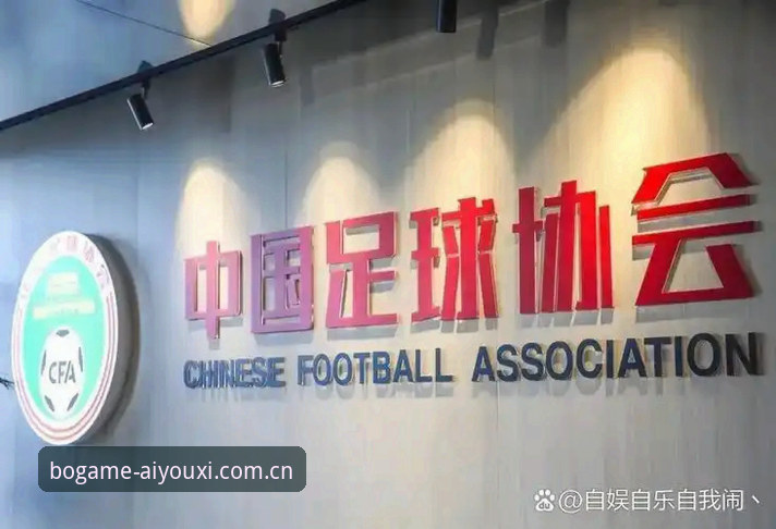 爱游戏实时数据攻略 资深用户实战分享:从足协禁足名单看体育精神与博弈平台的数据价值